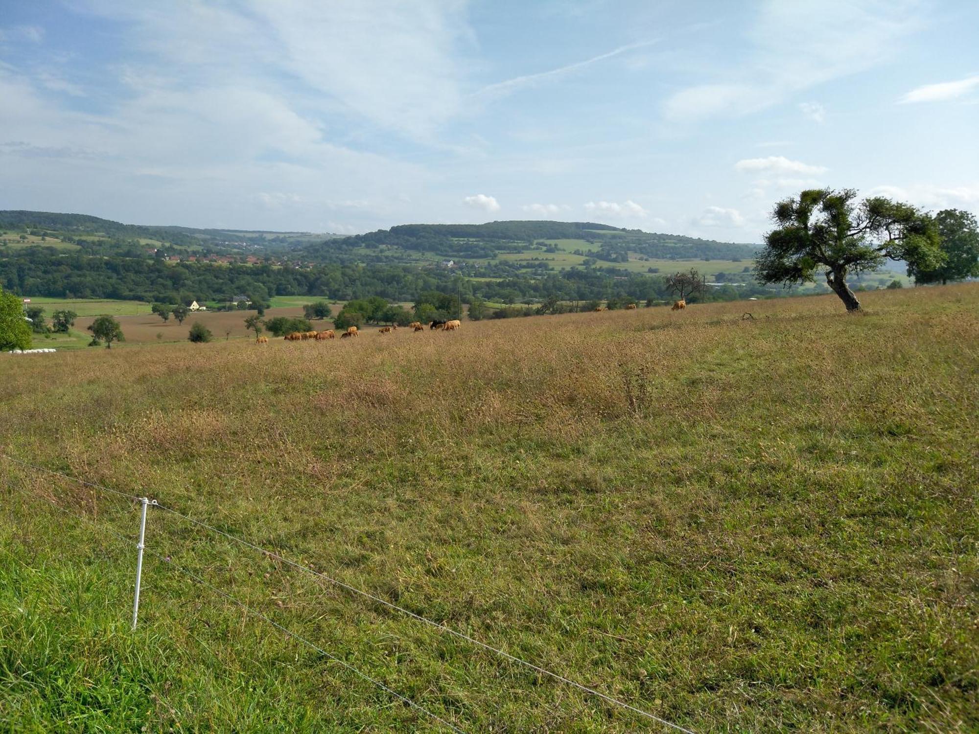 Camping Walsheim Gersheim Exteriér fotografie